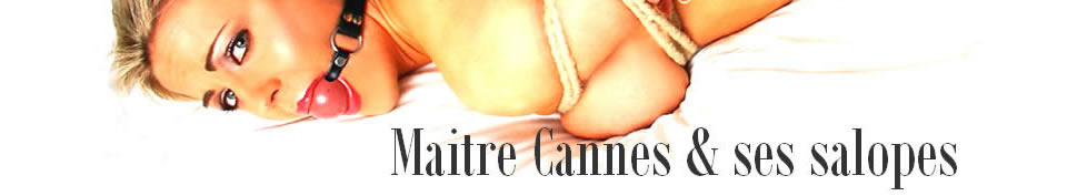 Le blog de Maitre Cannes et ses salopes