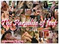 The Paradise Of Feet