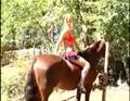zoo 06