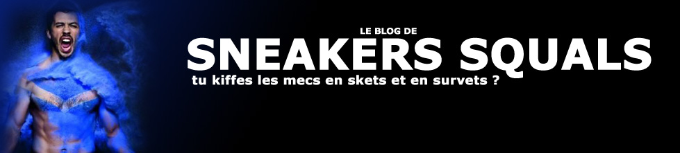 Le blog de sneakersquals.erog.fr
