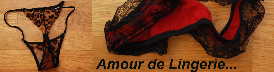 Le blog de amourdelingerie.erog.fr