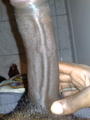 Le blog de blackmamba971.erog.fr