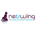 netswing