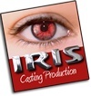 Le blog de iriscasting