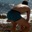 Le blog de polo-exhib