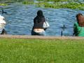 Le blog de film arabe porno
