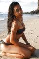 petite black salope