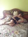 grosse chienne marocaine