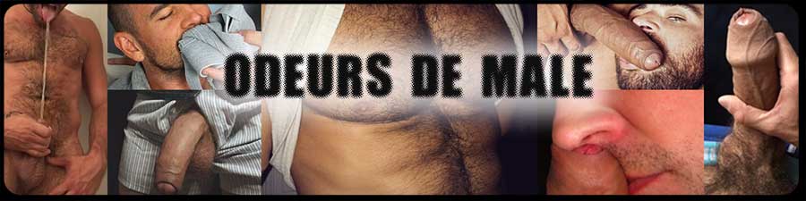 Le blog d'odeurs de male